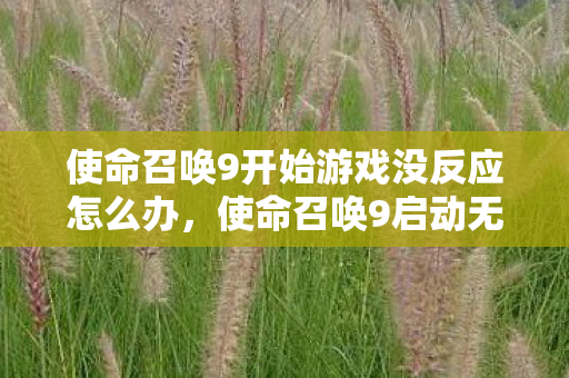 使命召唤9开始游戏没反应怎么办,使命召唤9启动无响应问题解析 使命召唤9开始游戏没反应怎么办,使命召唤9启动无响应问题解析