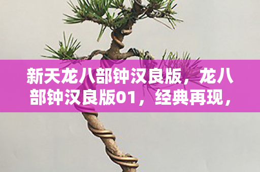 新天龙八部钟汉良版,龙八部钟汉良版01,经典再现,情怀与创新的完美融合 新天龙八部钟汉良版,龙八部钟汉良版01,经典再现,情怀与创新的完美融合