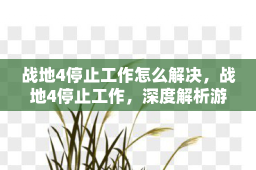 战地4停止工作怎么解决,战地4停止工作,深度解析游戏崩溃背后的原因与解决方案 战地4停止工作怎么解决,战地4停止工作,深度解析游戏崩溃背后的原因与解决方案