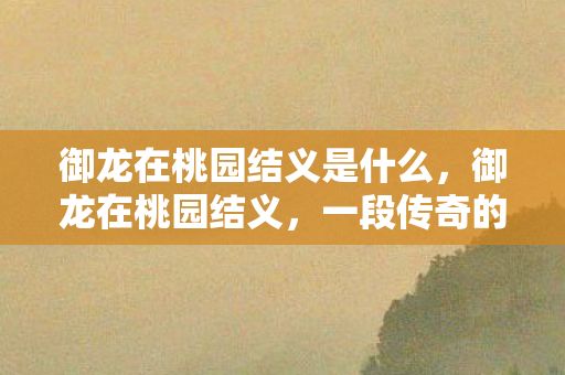 御龙在桃园结义是什么,御龙在桃园结义,一段传奇的兄弟情谊 御龙在桃园结义是什么,御龙在桃园结义,一段传奇的兄弟情谊