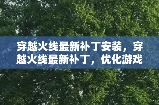 穿越火线最新补丁安装,穿越火线最新补丁,优化游戏体验,提升游戏稳定性 穿越火线最新补丁安装,穿越火线最新补丁,优化游戏体验,提升游戏稳定性