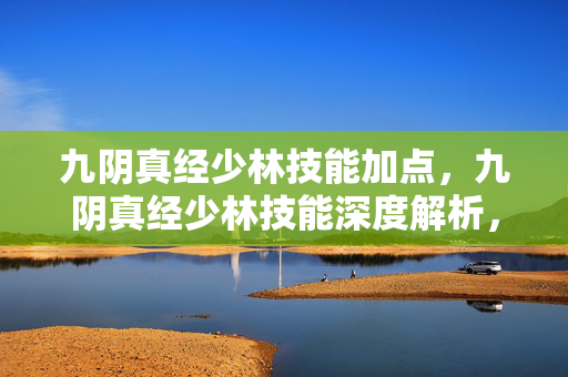 九阴真经少林技能加点,九阴真经少林技能深度解析,禅武合一的奥义 九阴真经少林技能加点,九阴真经少林技能深度解析,禅武合一的奥义