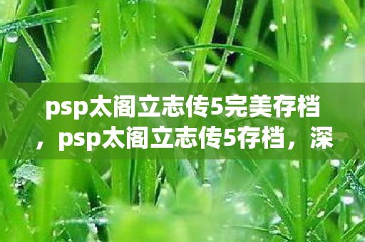 psp太阁立志传5完美存档,psp太阁立志传5存档,深度解析与分享 psp太阁立志传5完美存档,psp太阁立志传5存档,深度解析与分享
