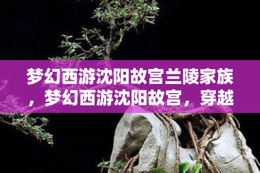 梦幻西游沈阳故宫兰陵家族,梦幻西游沈阳故宫,穿越千年的梦幻之旅 梦幻西游沈阳故宫兰陵家族,梦幻西游沈阳故宫,穿越千年的梦幻之旅