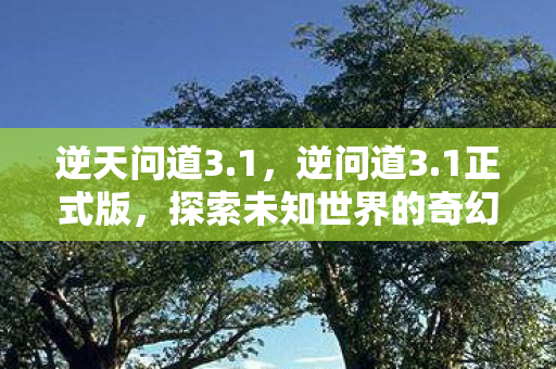 逆天问道3.1,逆问道3.1正式版,探索未知世界的奇幻之旅 逆天问道3.1,逆问道3.1正式版,探索未知世界的奇幻之旅