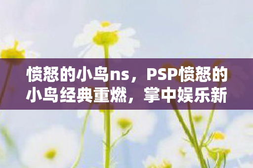 愤怒的小鸟ns,PSP愤怒的小鸟经典重燃,掌中娱乐新选择 愤怒的小鸟ns,PSP愤怒的小鸟经典重燃,掌中娱乐新选择