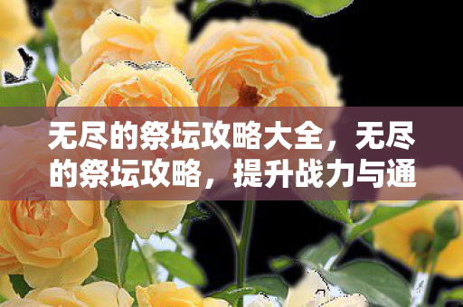 无尽的祭坛攻略大全,无尽的祭坛攻略,提升战力与通关技巧 无尽的祭坛攻略大全,无尽的祭坛攻略,提升战力与通关技巧