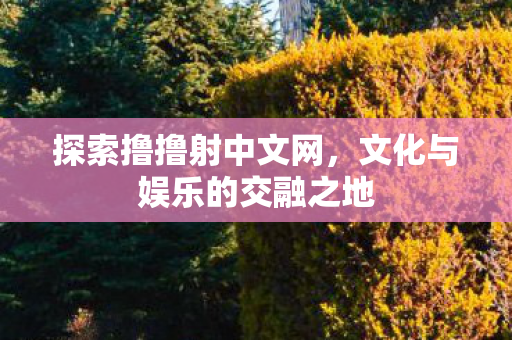 探索撸撸射中文网,文化与娱乐的交融之地 探索撸撸射中文网,文化与娱乐的交融之地