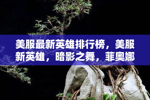美服最新英雄排行榜,美服新英雄,暗影之舞,菲奥娜 美服最新英雄排行榜,美服新英雄,暗影之舞,菲奥娜