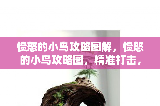 愤怒的小鸟攻略图解,愤怒的小鸟攻略图,精准打击,一飞冲天! 愤怒的小鸟攻略图解,愤怒的小鸟攻略图,精准打击,一飞冲天!