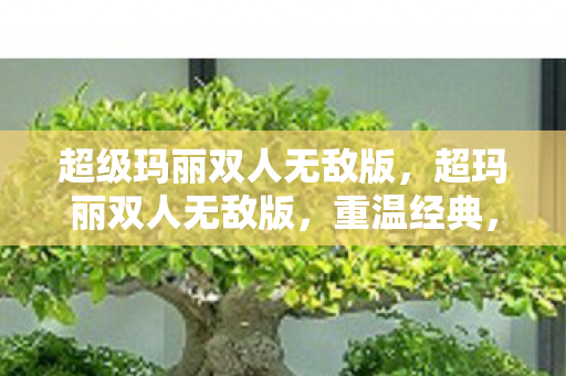 超级玛丽双人无敌版,超玛丽双人无敌版,重温经典,双人合作,畅享无限乐趣 超级玛丽双人无敌版,超玛丽双人无敌版,重温经典,双人合作,畅享无限乐趣