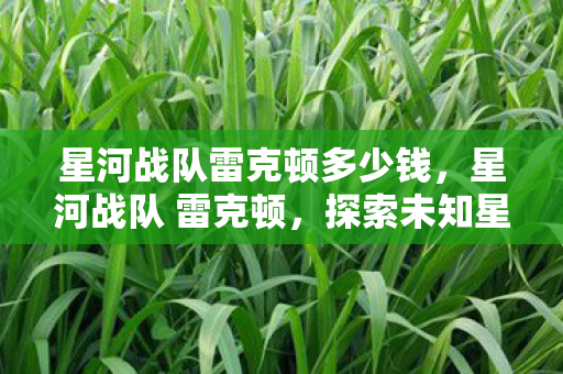 星河战队雷克顿多少钱,星河战队 雷克顿,探索未知星域的奇幻之旅 星河战队雷克顿多少钱,星河战队 雷克顿,探索未知星域的奇幻之旅