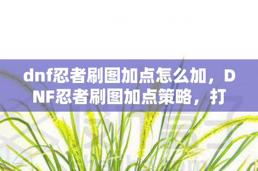 dnf忍者刷图加点怎么加,DNF忍者刷图加点策略,打造高效战斗体验 dnf忍者刷图加点怎么加,DNF忍者刷图加点策略,打造高效战斗体验
