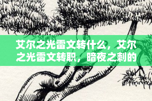 艾尔之光雷文转什么，艾尔之光雷文转职，暗夜之刺的觉醒
