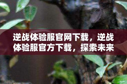 逆战体验服官网下载，逆战体验服官方下载，探索未来战场的前沿体验