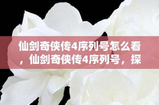 仙剑奇侠传4序列号怎么看，仙剑奇侠传4序列号，探寻古老传说背后的秘密