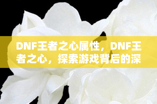 DNF王者之心属性，DNF王者之心，探索游戏背后的深层意义