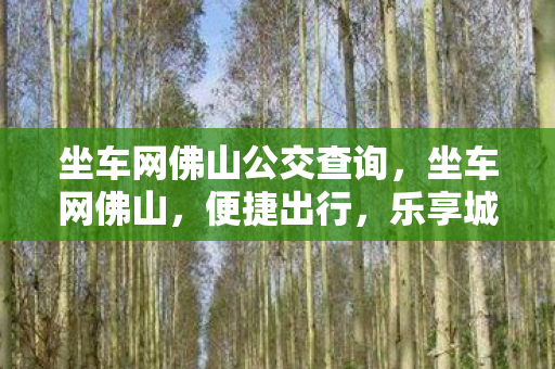 坐车网佛山公交查询，坐车网佛山，便捷出行，乐享城市生活