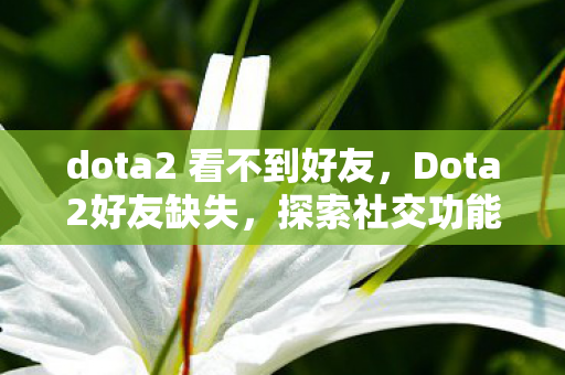 dota2 看不到好友,Dota2好友缺失,探索社交功能的局限与影响 dota2 看不到好友,Dota2好友缺失,探索社交功能的局限与影响