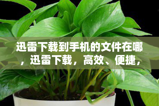 迅雷下载到手机的文件在哪,迅雷下载,高效、便捷,打造你的私人资源宝库 迅雷下载到手机的文件在哪,迅雷下载,高效、便捷,打造你的私人资源宝库