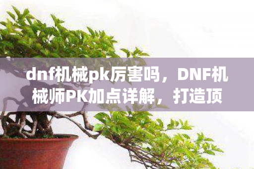dnf机械pk厉害吗,DNF机械师PK加点详解,打造顶尖战斗力的关键 dnf机械pk厉害吗,DNF机械师PK加点详解,打造顶尖战斗力的关键