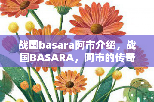 战国basara阿市介绍,战国BASARA,阿市的传奇与风采 战国basara阿市介绍,战国BASARA,阿市的传奇与风采