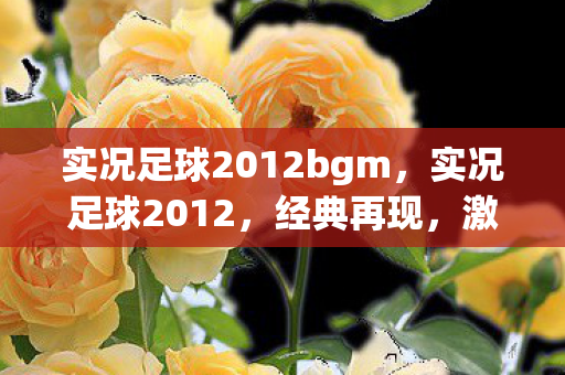 实况足球2012bgm,实况足球2012,经典再现,激情依旧 实况足球2012bgm,实况足球2012,经典再现,激情依旧