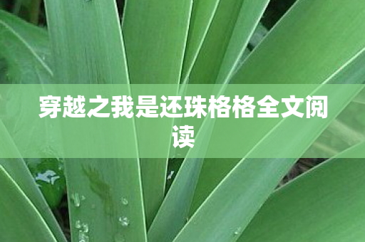 穿越之我是还珠格格全文阅读 穿越之我是还珠格格全文阅读