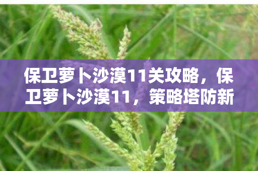保卫萝卜沙漠11关攻略,保卫萝卜沙漠11,策略塔防新挑战 保卫萝卜沙漠11关攻略,保卫萝卜沙漠11,策略塔防新挑战