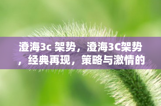 澄海3c 架势,澄海3C架势,经典再现,策略与激情的碰撞 澄海3c 架势,澄海3C架势,经典再现,策略与激情的碰撞