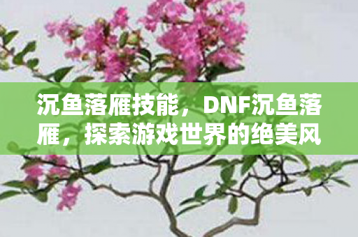 沉鱼落雁技能,DNF沉鱼落雁,探索游戏世界的绝美风景 沉鱼落雁技能,DNF沉鱼落雁,探索游戏世界的绝美风景