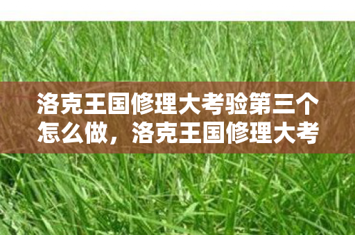 洛克王国修理大考验第三个怎么做,洛克王国修理大考验,智慧与勇气的双重挑战 洛克王国修理大考验第三个怎么做,洛克王国修理大考验,智慧与勇气的双重挑战