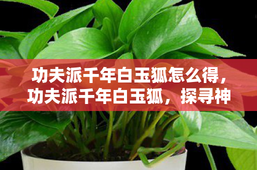 功夫派千年白玉狐怎么得，功夫派千年白玉狐，探寻神秘灵兽的传奇故事