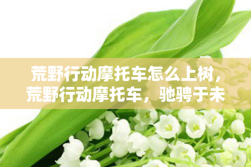 荒野行动摩托车怎么上树,荒野行动摩托车,驰骋于未知之地的自由灵魂 荒野行动摩托车怎么上树,荒野行动摩托车,驰骋于未知之地的自由灵魂