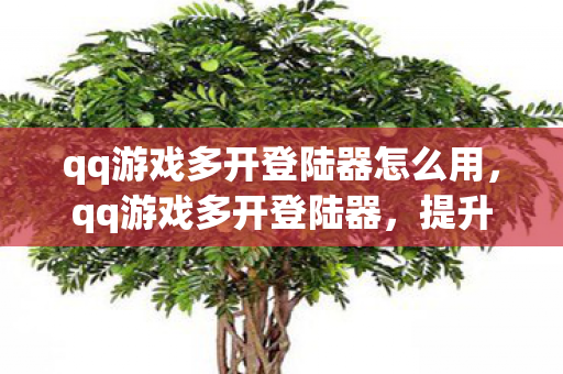 qq游戏多开登陆器怎么用，qq游戏多开登陆器，提升游戏体验的利器