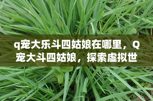 q宠大乐斗四姑娘在哪里,Q宠大斗四姑娘,探索虚拟世界的奇妙之旅 q宠大乐斗四姑娘在哪里,Q宠大斗四姑娘,探索虚拟世界的奇妙之旅