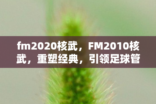 fm2020核武,FM2010核武,重塑经典,引领足球管理新潮流 fm2020核武,FM2010核武,重塑经典,引领足球管理新潮流