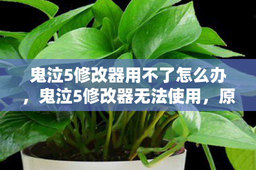 鬼泣5修改器用不了怎么办，鬼泣5修改器无法使用，原因解析与解决方案