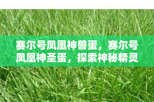 赛尔号凤凰神兽蛋,赛尔号凤凰神圣蛋,探索神秘精灵的奇妙之旅 赛尔号凤凰神兽蛋,赛尔号凤凰神圣蛋,探索神秘精灵的奇妙之旅
