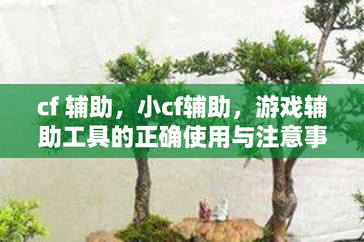 cf 辅助,小cf辅助,游戏辅助工具的正确使用与注意事项 cf 辅助,小cf辅助,游戏辅助工具的正确使用与注意事项