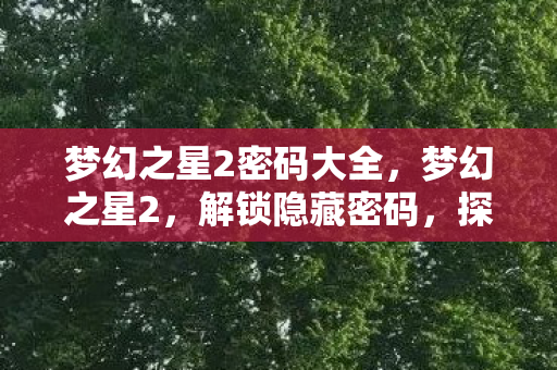 梦幻之星2密码大全，梦幻之星2，解锁隐藏密码，探索未知宇宙