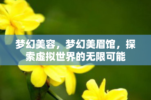 梦幻美容,梦幻美眉馆,探索虚拟世界的无限可能 梦幻美容,梦幻美眉馆,探索虚拟世界的无限可能