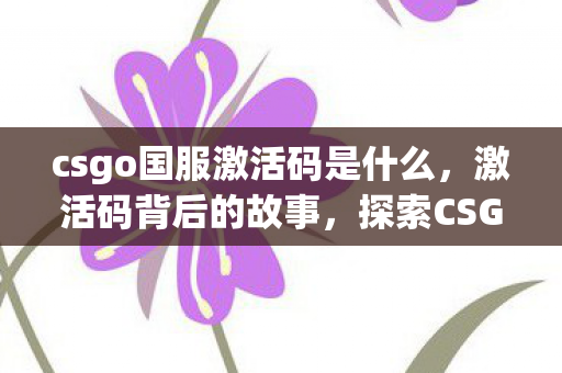 csgo国服激活码是什么,激活码背后的故事,探索CSGO国服之路 csgo国服激活码是什么,激活码背后的故事,探索CSGO国服之路