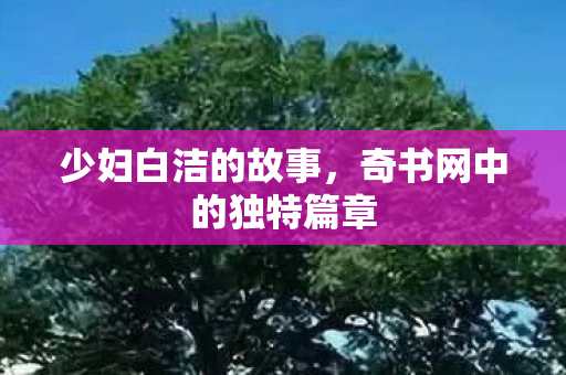 少妇白洁的故事,奇书网中的独特篇章 少妇白洁的故事,奇书网中的独特篇章