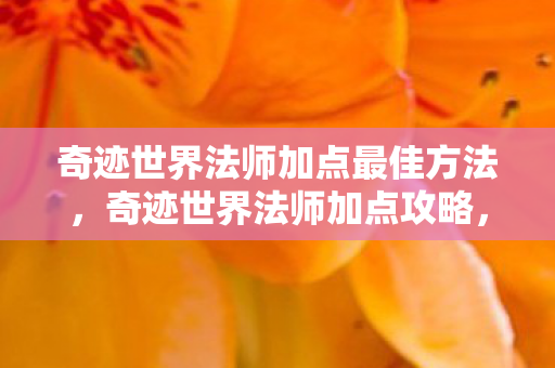 奇迹世界法师加点最佳方法,奇迹世界法师加点攻略,打造最强法师之路 奇迹世界法师加点最佳方法,奇迹世界法师加点攻略,打造最强法师之路