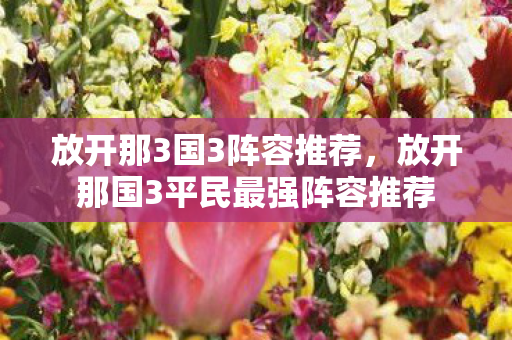放开那3国3阵容推荐,放开那国3平民最强阵容推荐 放开那3国3阵容推荐,放开那国3平民最强阵容推荐