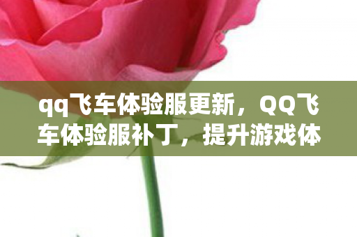 qq飞车体验服更新,QQ飞车体验服补丁,提升游戏体验的利器 qq飞车体验服更新,QQ飞车体验服补丁,提升游戏体验的利器
