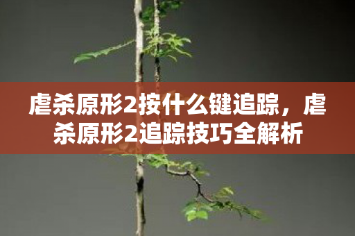 虐杀原形2按什么键追踪,虐杀原形2追踪技巧全解析 虐杀原形2按什么键追踪,虐杀原形2追踪技巧全解析