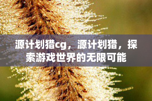 源计划猎cg，源计划猎，探索游戏世界的无限可能