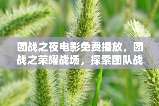 团战之夜电影免费播放，团战之荣耀战场，探索团队战斗的深度与策略